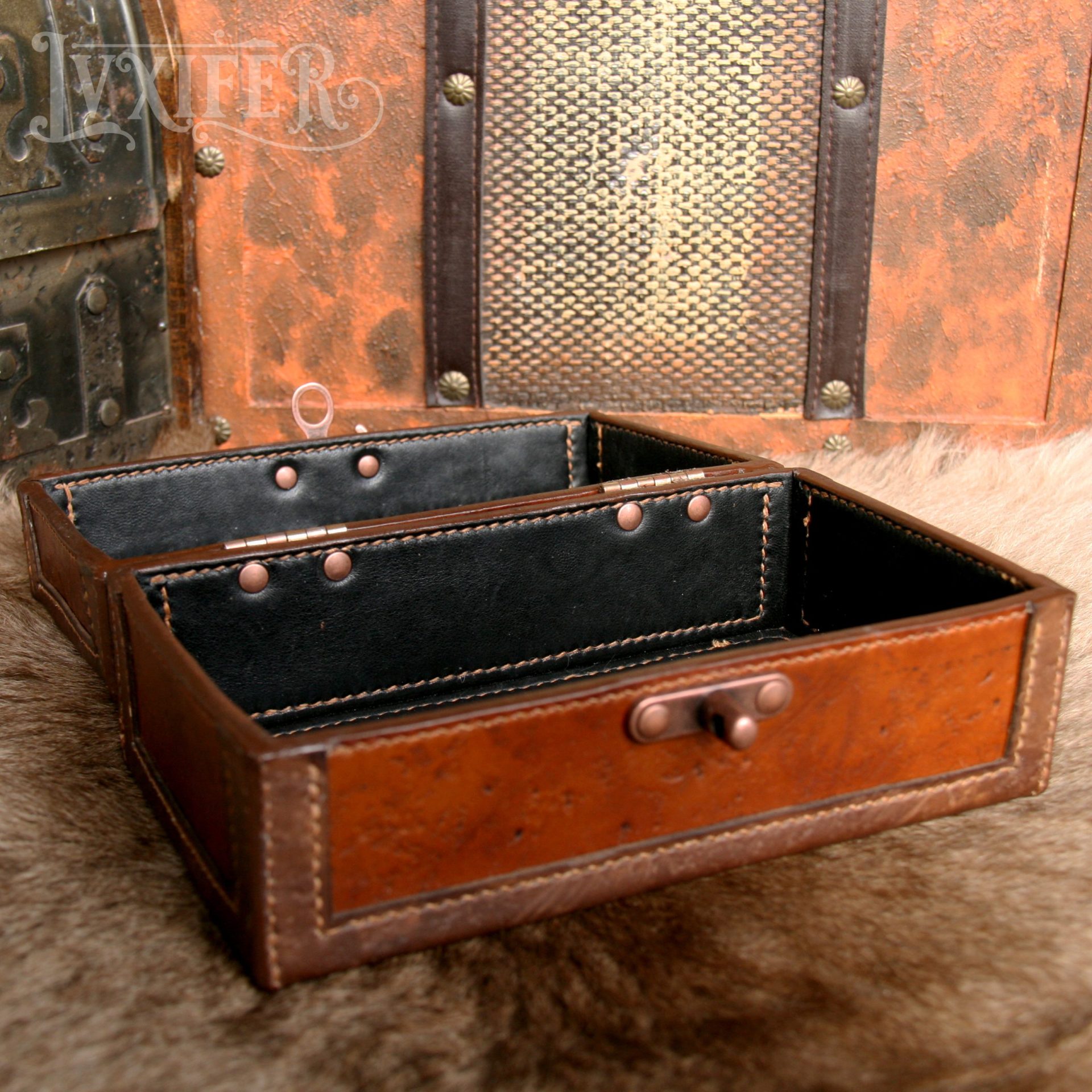 Coffret Octopus – Image 3