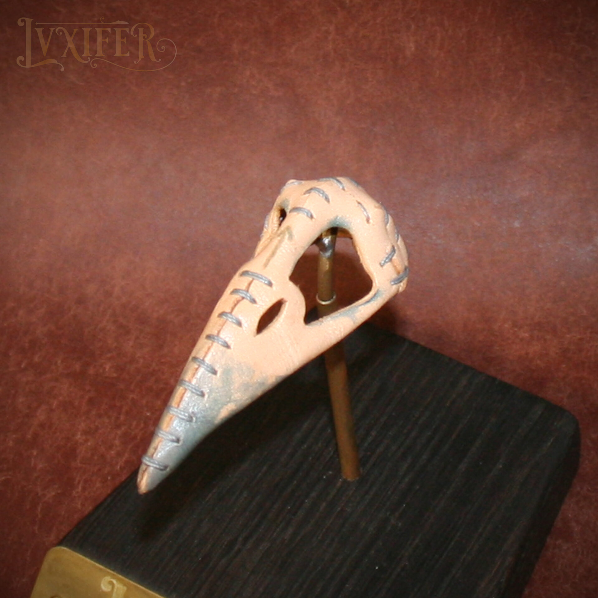 Crânes de corbeau – Image 10