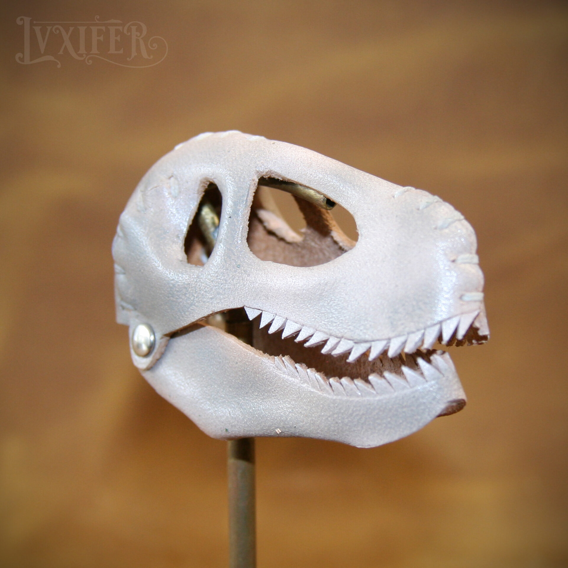 Crânes de t-rex miniatures – Image 3