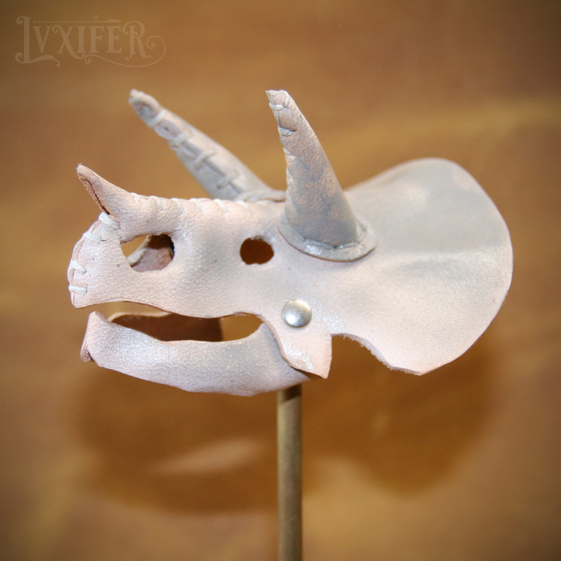 Crânes de triceratops miniatures – Image 3