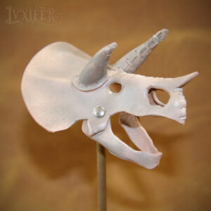 Crânes de triceratops miniatures
