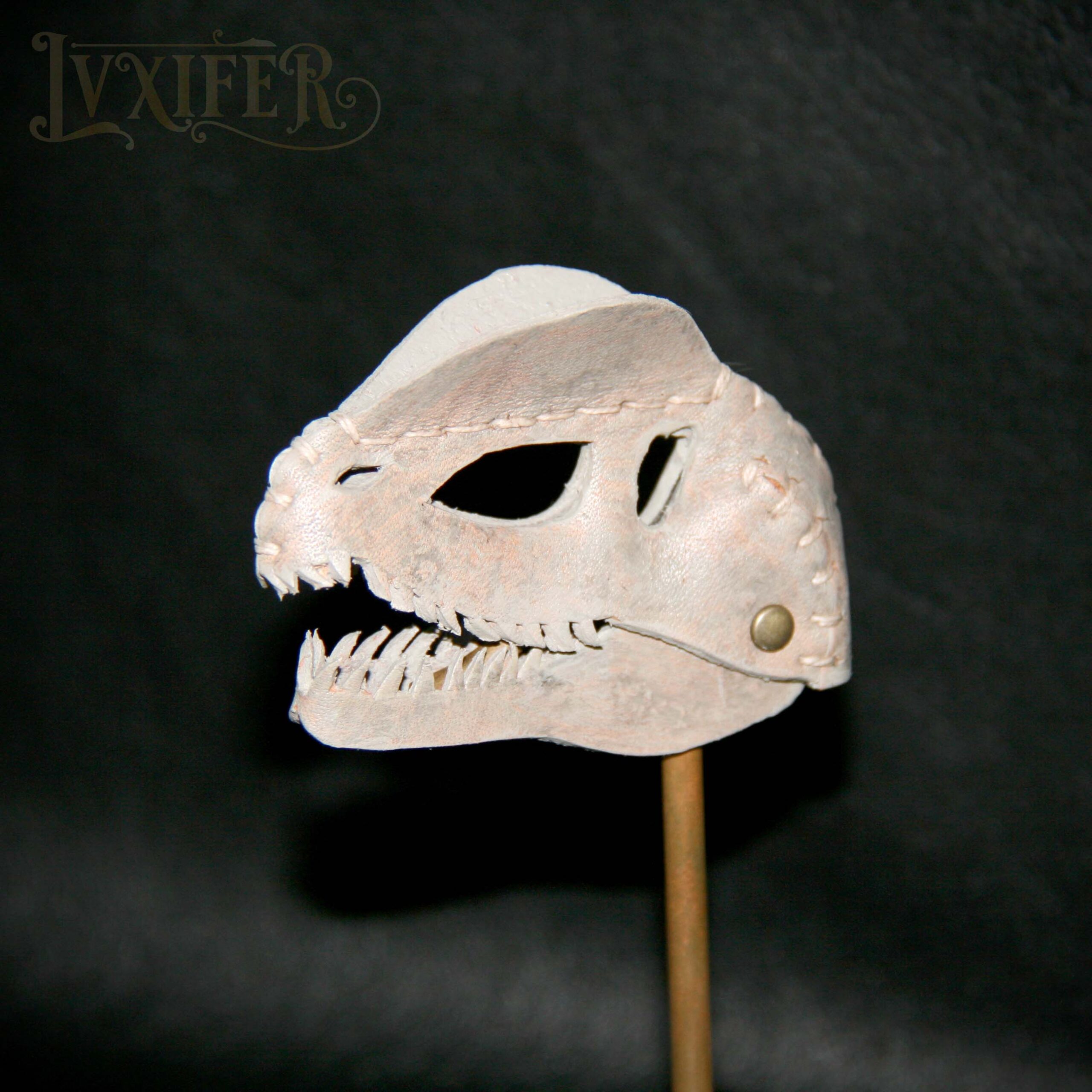 Crânes de dilophosaure miniatures – Image 4
