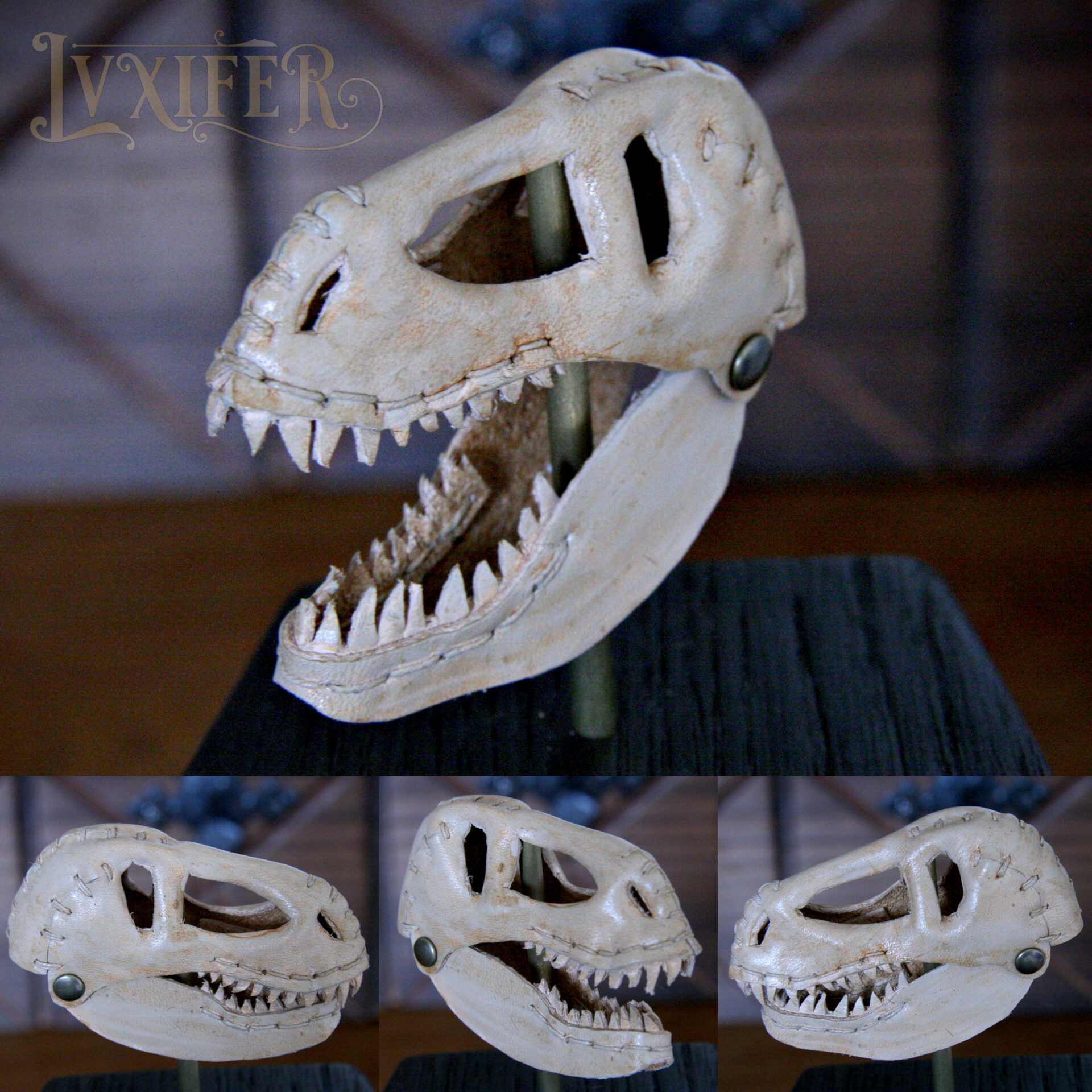 Crânes de t-rex miniatures – Image 7