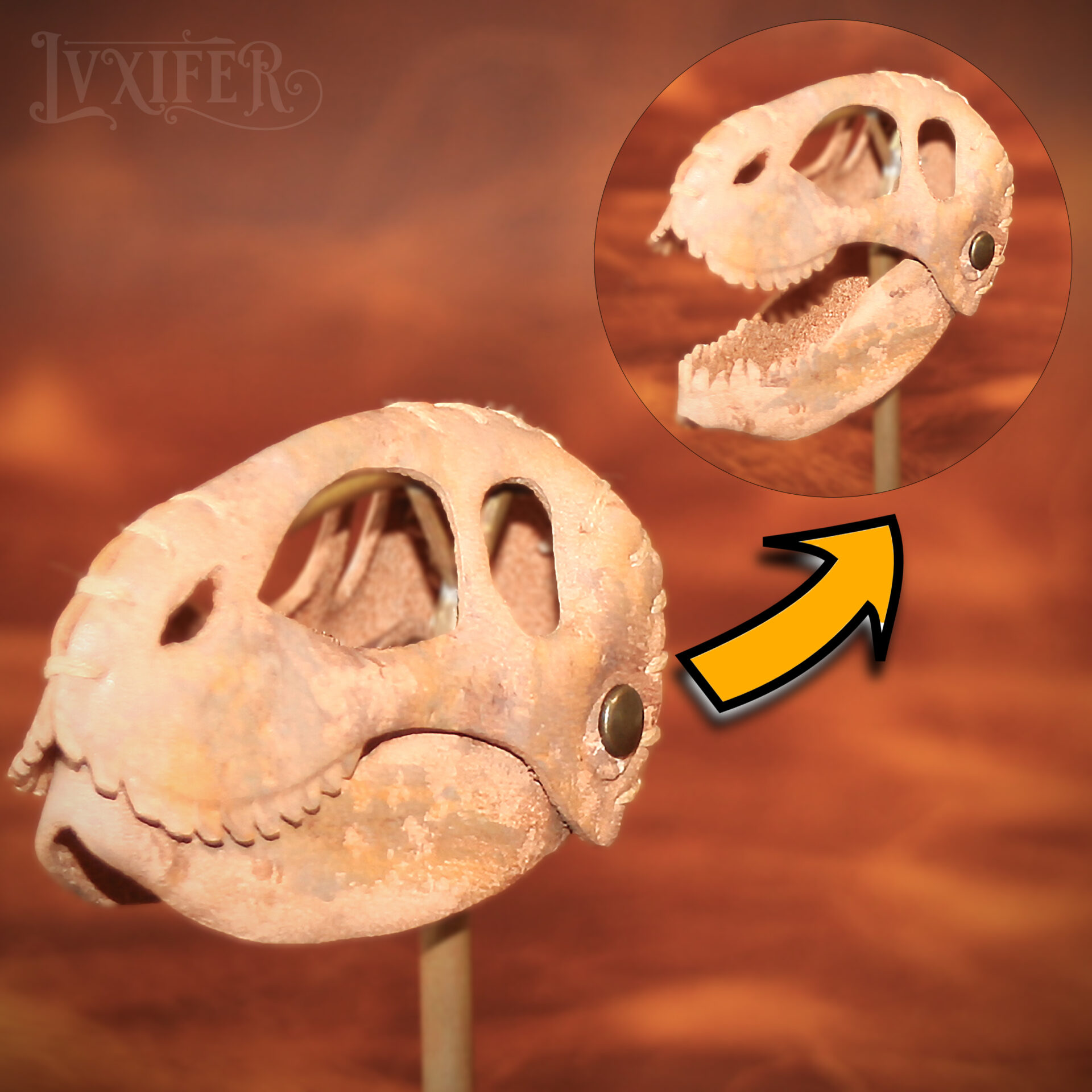 Crânes de t-rex miniatures