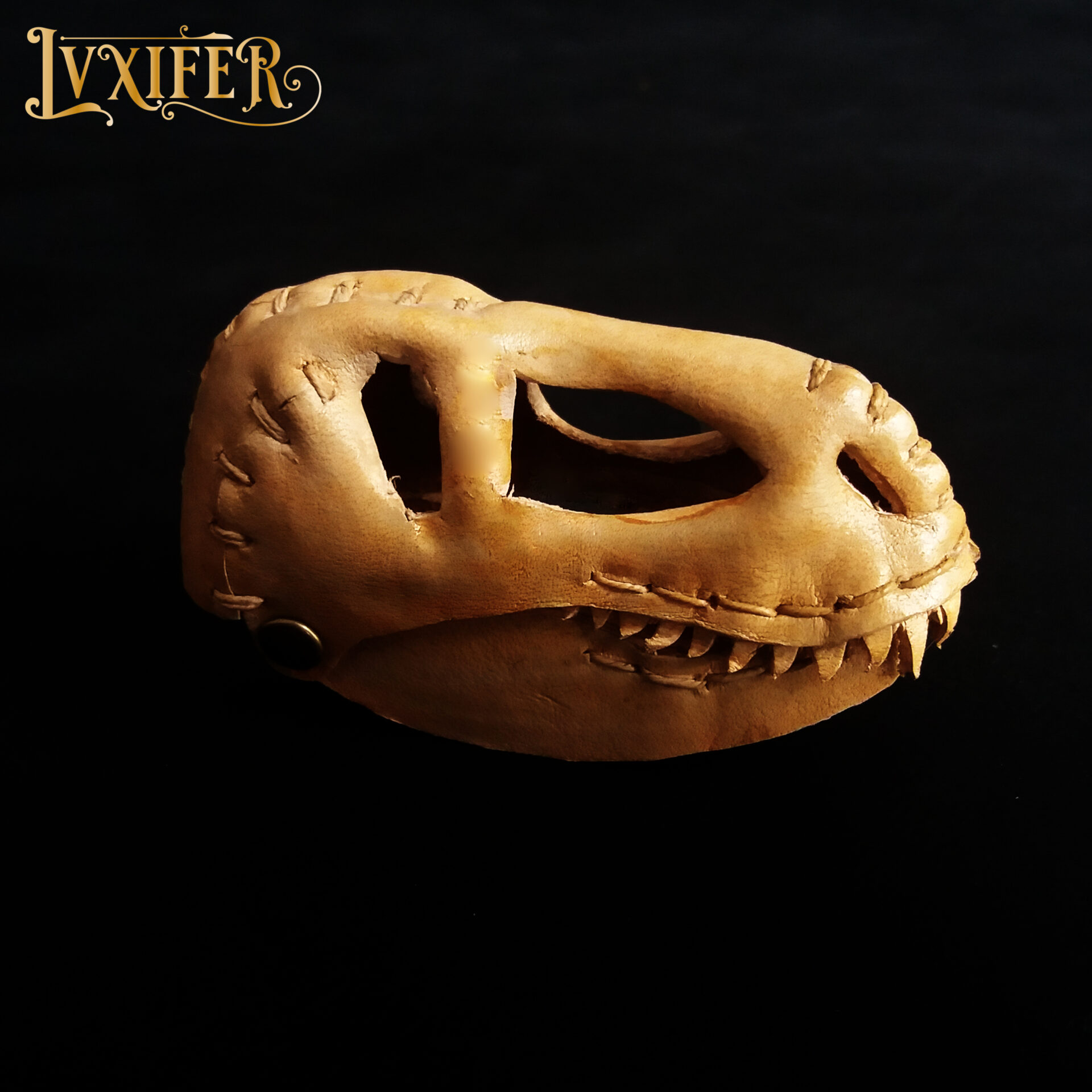 Crânes de t-rex miniatures – Image 5