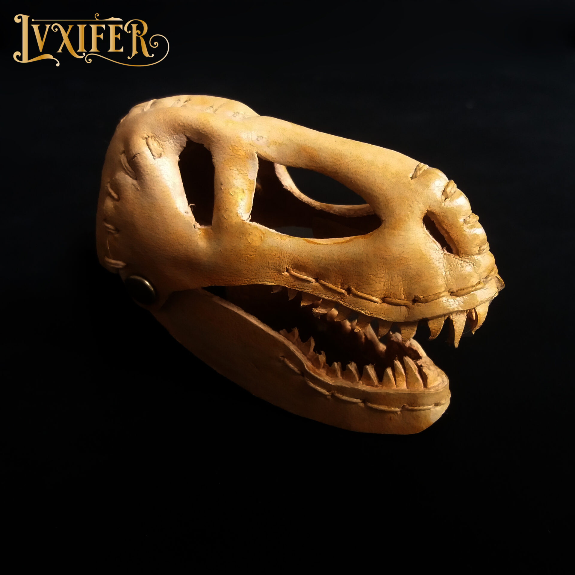 Crânes de t-rex miniatures – Image 6