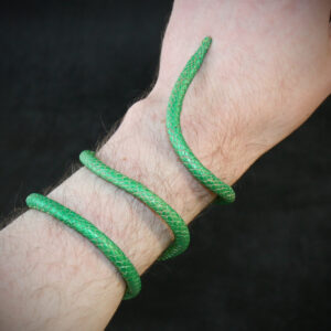 Serpents articulés