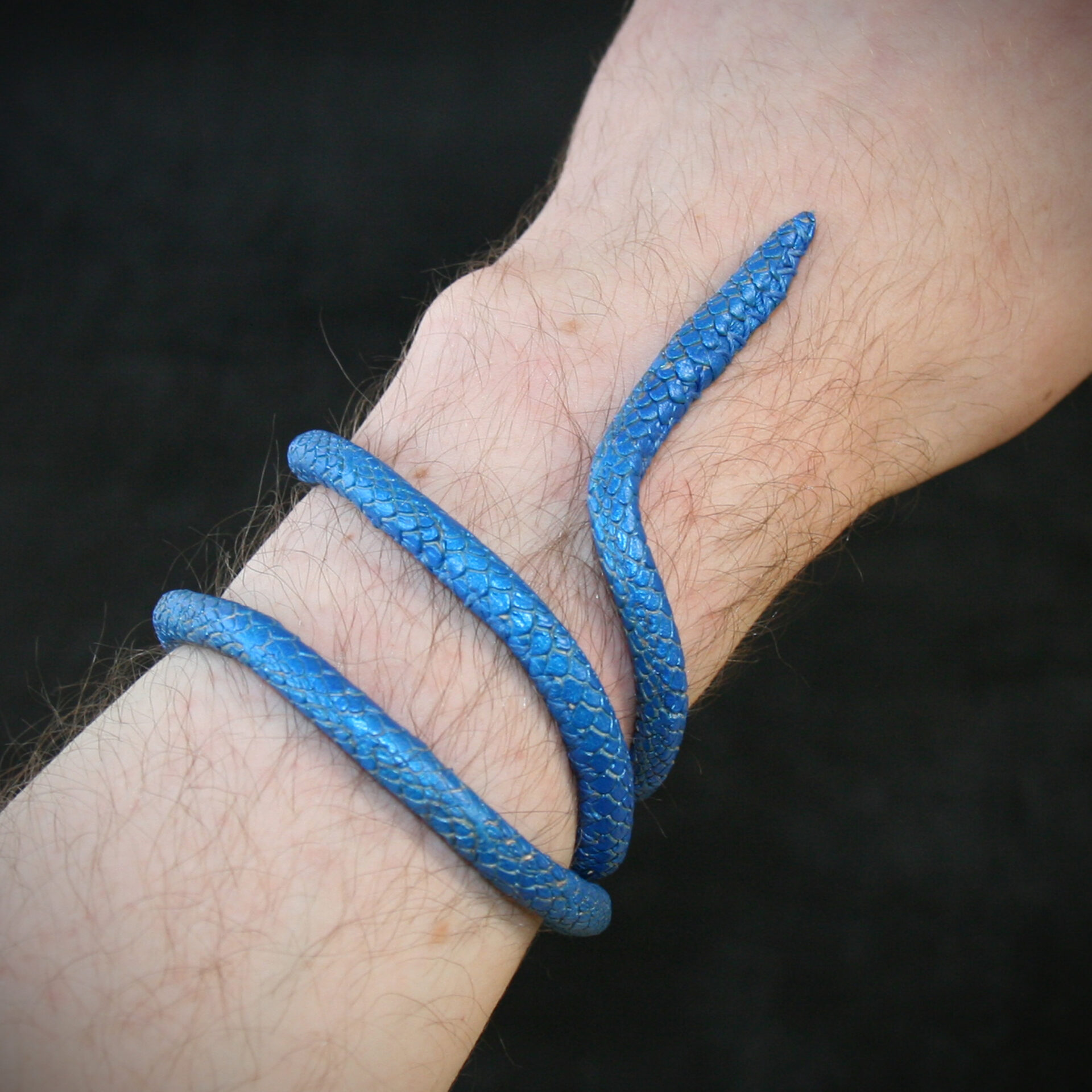 Serpents articulés – Image 3