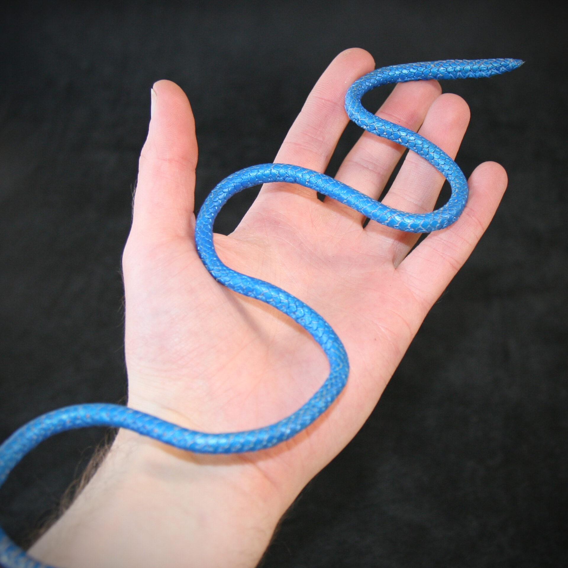 Serpents articulés – Image 4